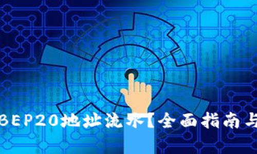 如何查询BEP20地址流水？全面指南与步骤解析