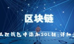 如何在小狐狸钱包中添加SOL链：详细步骤与解析