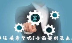   波场币还有希望吗？全面解析及未来展望