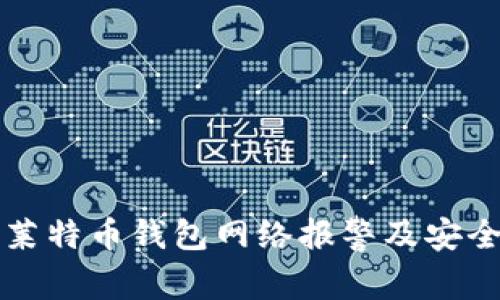 如何应对莱特币钱包网络报警及安全隐患分析