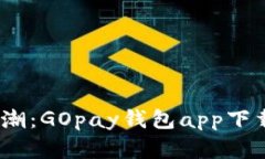 2023年虚拟币热潮：GOpay钱