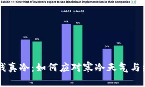 钱包没钱真冷：如何应对寒冷天气与经济压力