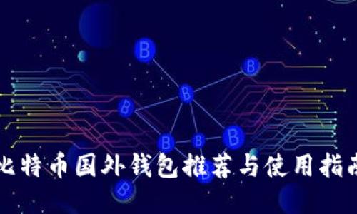 比特币国外钱包推荐与使用指南
