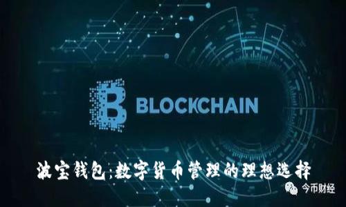 波宝钱包：数字货币管理的理想选择