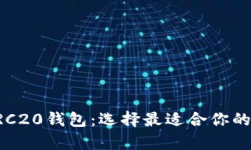 全面解析以太坊ERC20钱包：选择最适合你的数字资产存储方案