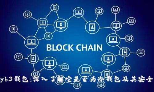 Wyb3钱包：深入了解它是否为冷钱包及其安全性