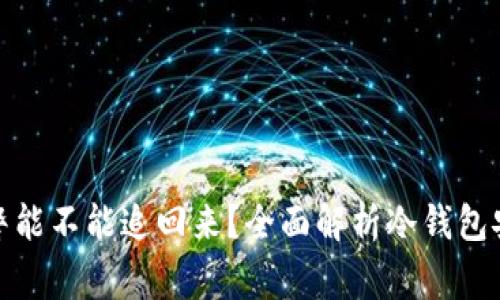 冷钱包被盗报警能不能追回来？全面解析冷钱包安全与追讨措施