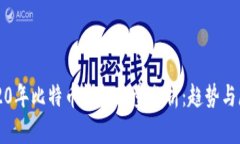 2020年比特币钱包容量分析