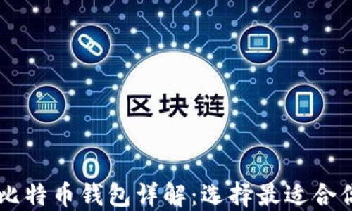 
不同类型的比特币钱包详解：选择最适合你的钱包平台