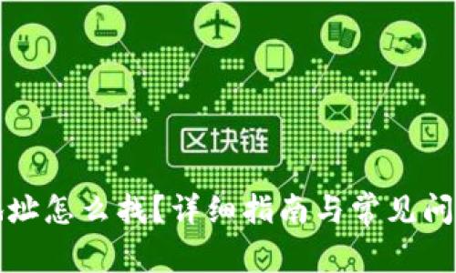 钱包地址怎么找？详细指南与常见问题解答