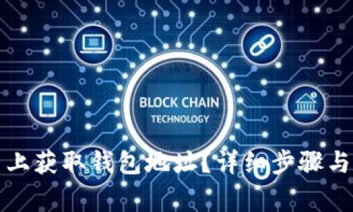 如何在云币网上获取钱包地址？详细步骤与常见问题解析
