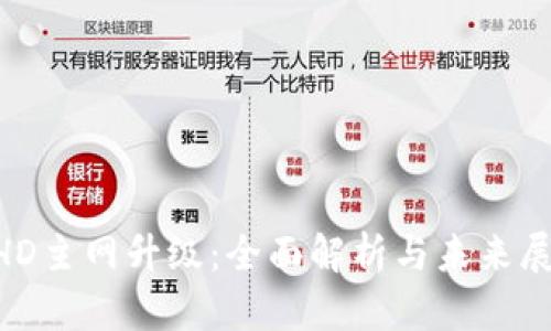 BHD主网升级：全面解析与未来展望