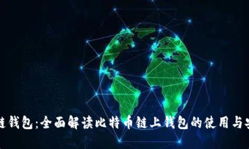 比特链钱包：全面解读比特币链上钱包的使用与安全性