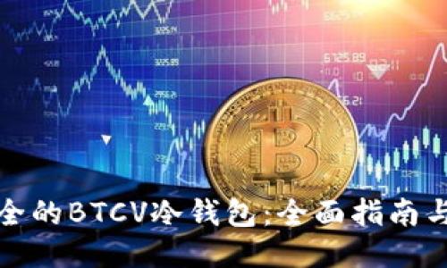最安全的BTCV冷钱包：全面指南与推荐