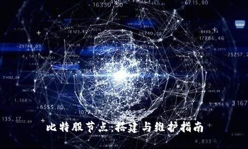 比特股节点：搭建与维护指南